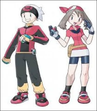 On peut choisir son personnage, c'est à dire soit une fille ou un garçon.