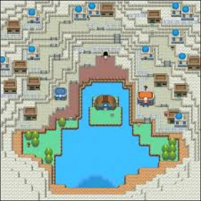 Quel type de Pokémon trouve-t-on dans la dernière arène du jeu située dans la ville d'Atalanopolis ?