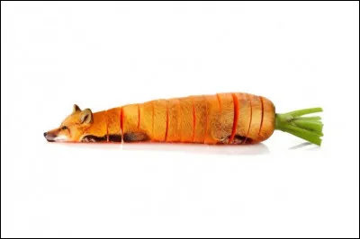 À quel animal l'oryx est-il apparenté ?