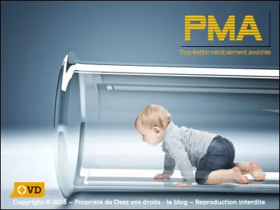 En quelle année le premier bébé éprouvette a-t-il vu le jour ?