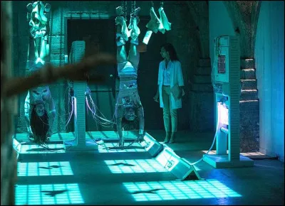 Pourquoi les Hommes des Montagnes capturent-ils les Natifs ?