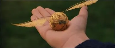 Qu'est ce que c'est ?