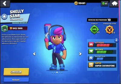 Comment s'appelle ce skin ?