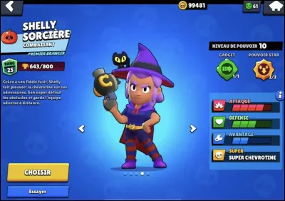 Comment s'appelle ce skin ?