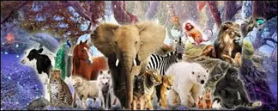 Quel animal as-tu ?