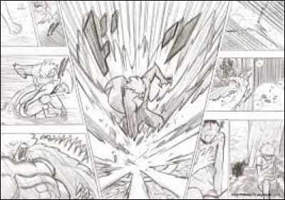 Mais au moins connais-tu le sens de lecture d'un manga ?
Quel est-il ?