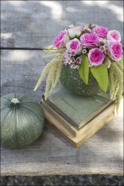 Mon 1er est un réalisateur ou joueur de tennis
Mon 2e est un chiffre
Mon 3e est haut s'il est blanc
Mon 4e se trouve sur l'oreiller
Mon 5e peut-être de neige