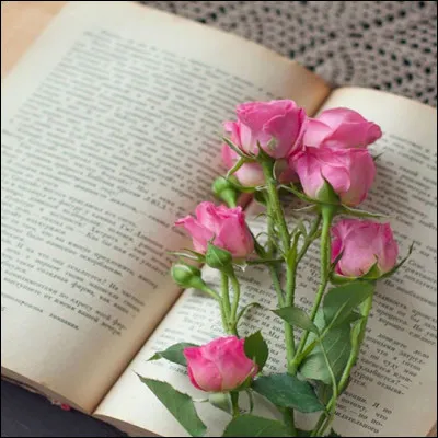 Mon 1er peut soûler
Mon 2e est un centre
Mon 4e est enivré
Mon 5e est élu
Mon tout est un roman de :