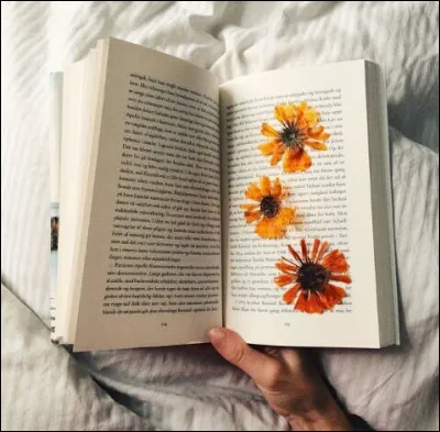 Mon 1er est un article défini
Mon 2e est une négation
Mon 3e est un chiffre
Mon 4e n'est pas mort
Mon 5e va par deux
Mon tout est un roman de :