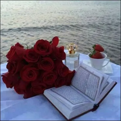 Mon 1er est salée en mer
Mon 2e est gentille
Mon 3e est bleue chez Guerlain
Mon 4e se lance pour jouer
Mon 5e est un jeu
Mon tout est un roman de :