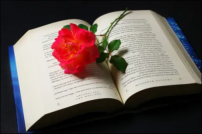 Mon 1er est moche
Mon 2e est une reine de beauté
Mon 3e est une planète
Mon 4e est un chiffre
Mon 5e se fait en marchant
Mon 6e se marre
Mon tout est un roman de :