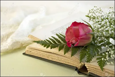 Mon 1er se prend au bol 
Mon 2e est une rébellion d'enfant
Mon 3e n'avoue pas
Mon tout est un roman de :