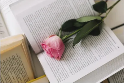 Mon 1er peut être cantonnais
Mon 2e est blanche pour Jean-Claude Brisseau
Mon 3e sépare mon jardin de celui du voisin
Mon 4e est vache
Mon tout est une pièce de :