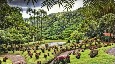 En quelle année La Martinique fut-elle découverte ?