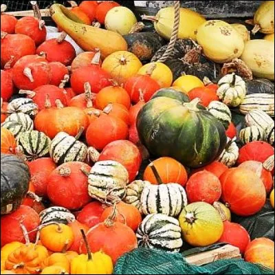 Quelle cucurbitacée possède un goût de châtaigne ?