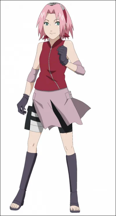 Je ressemble énormément à mon sensei mais je ne suis pas son fils. Je porte une immonde combinaison verte. J'ai eu un fantastique combat contre le futur Kazekage durant lequel j'ai failli mourir.