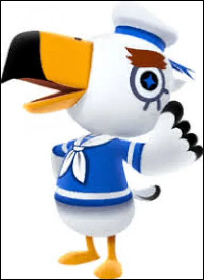 Quel est le nom de l'oiseau qui vient tout le temps sur ta plage ?