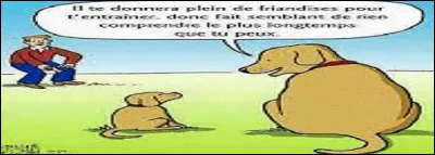 Comment appelle-t-on cette capacité merveilleuse à détecter les odeurs tant pour les humains que les animaux au sens propre ?