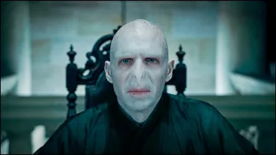 Qu'est Voldemort, le principal antagoniste de la saga « Harry Potter » ?
