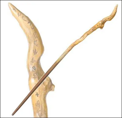 Cette baguette appartient à...