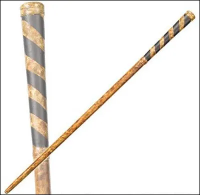 Cette baguette appartient à...