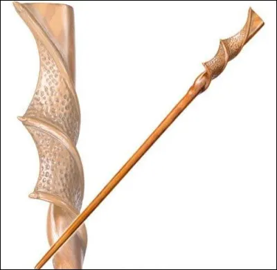 Cette baguette appartient à...