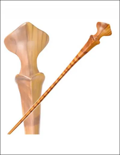 Cette baguette appartient à...