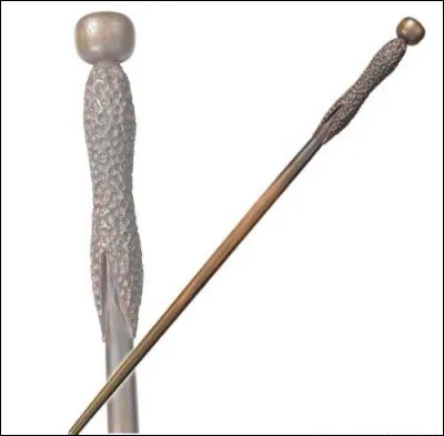 Cette baguette appartient à...