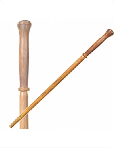 Cette baguette appartient à...