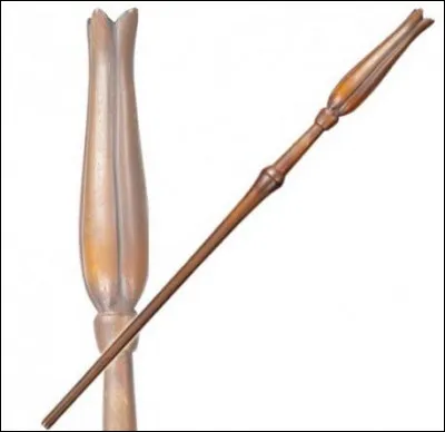 Cette baguette appartient à...