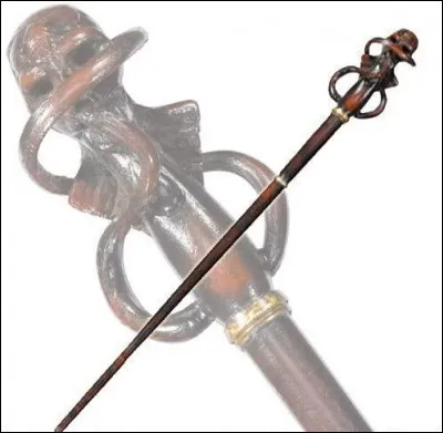 Cette baguette appartient à...