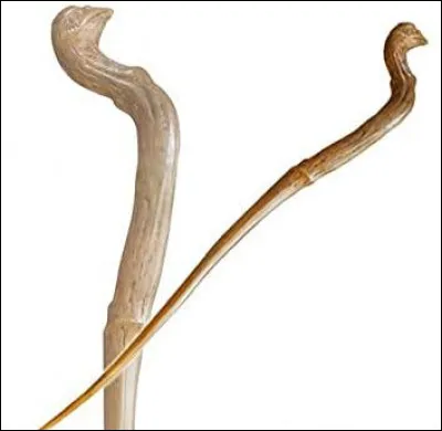 Cette baguette appartient à...