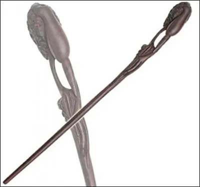 Cette baguette appartient à...