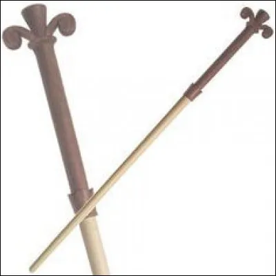 Cette baguette appartient à...