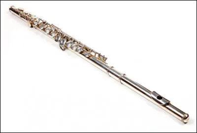 Comment s'appelle cet instrument ?