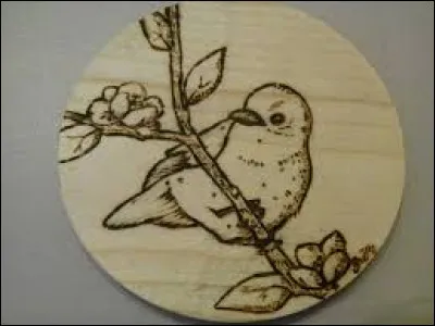 Quel animal te représente le plus ?