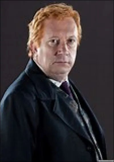 Qui incarne Arthur Weasley ?