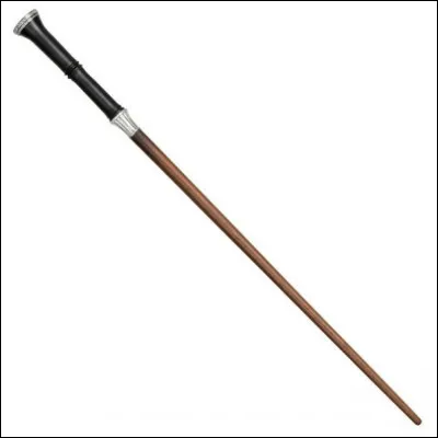 Cette baguette appartient à...