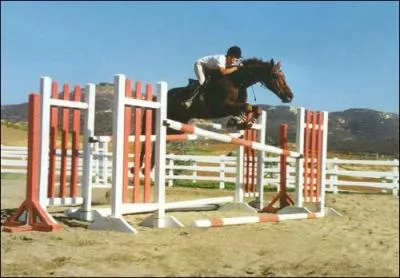 Quel est cet obstacle ?