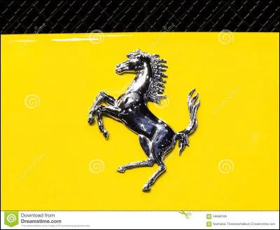 Quant &agrave; ton ami, il veut un appaloosa avec des petites taches partout sur lui. &Ccedil;a s'appelle un appaloosa...