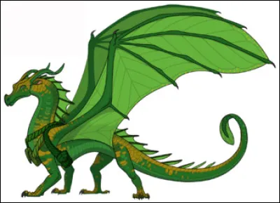 Que contient la poche "A" que Droséra possède ?