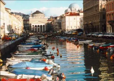 Frioul-Vntie Julienne