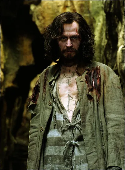 Qui est Sirius Black pour Harry ?