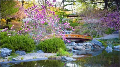 Pour résumer, de quoi se compose essentiellement un jardin japonais ?