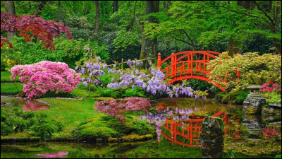 Bienvenue ! Pour commencer, à quoi doit se résumer un jardin japonais ?
