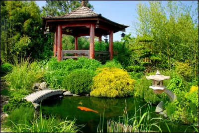 De quelle île le jardin japonais est-il originaire ?
