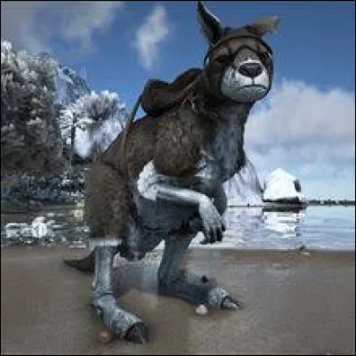 Que mange le procoptodon lors de l'apprivoisement ?