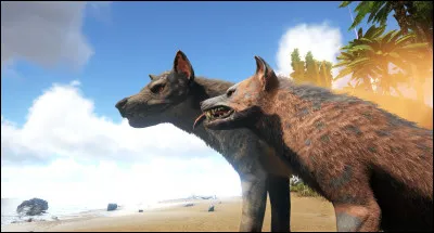 Quels animaux possèdent un chef de meute ?