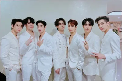 Lequel de ces membres est am&eacute;ricano-ta&iuml;wanais ?