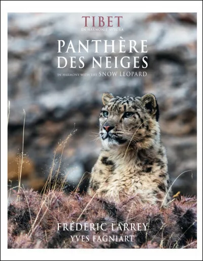 Quel est le mode de vie d'une panthère des neiges ?